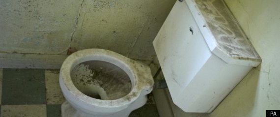 Toilet Water Drink