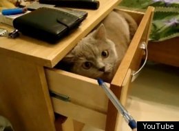 WATCH: Nightstand Intruder