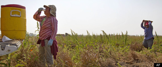 Immigration Farmers Crackdown