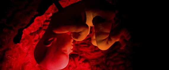 EMBRYO