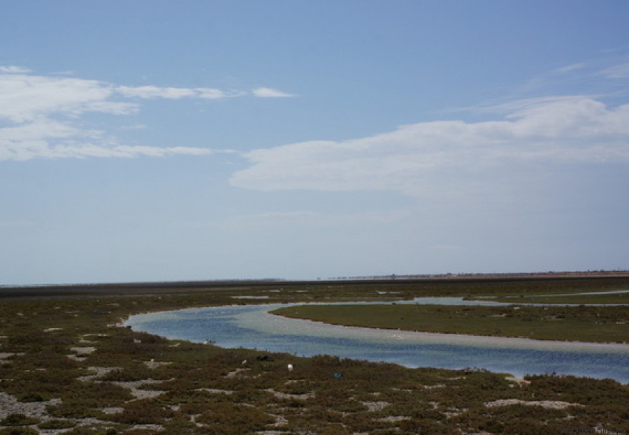 kerkennah tunisia