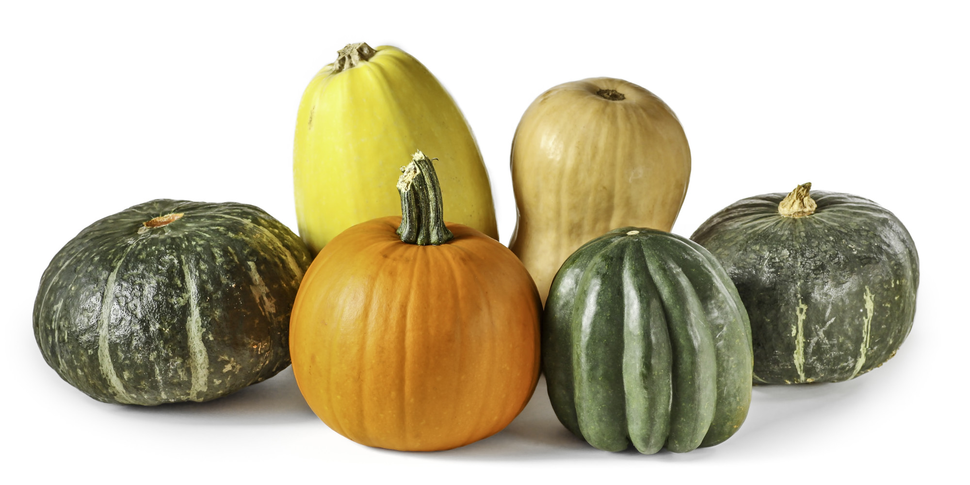 Squash Recipes 20 Delicious Thanksgiving Dishes