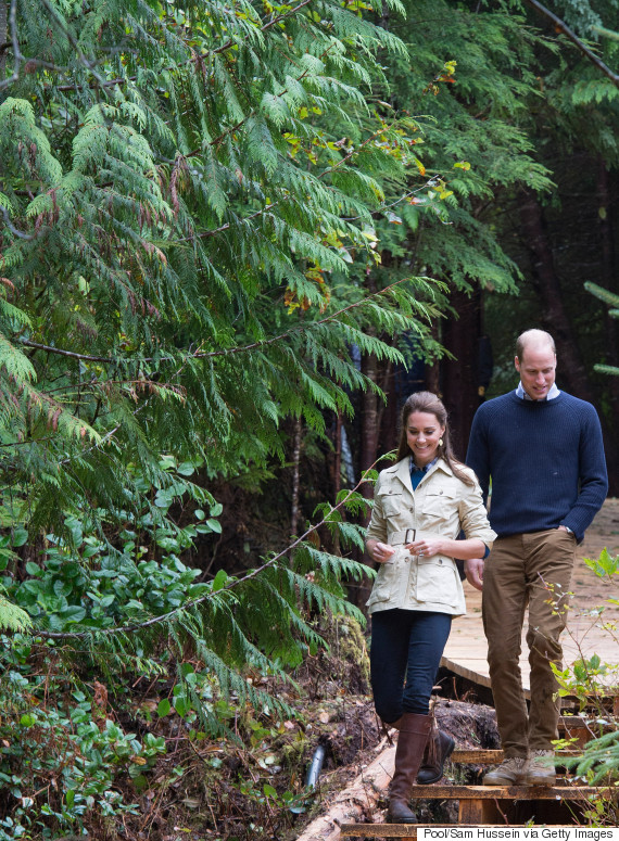 great bear rainforest