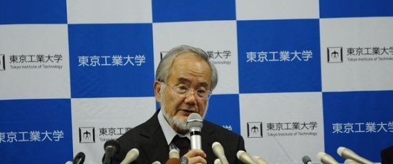 YOSHINORI OHSUMI