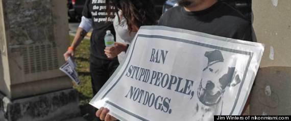 Bslprotest