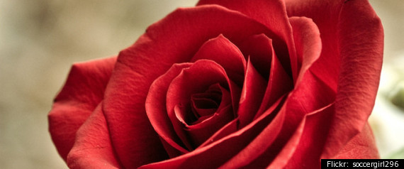Uzbekistan Valentines Day