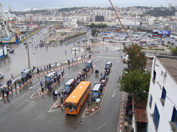 cous alger