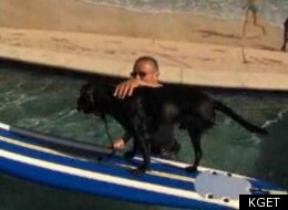Abused 3-Legged Dog Learns To Surf
