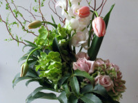 Flower Arrangements