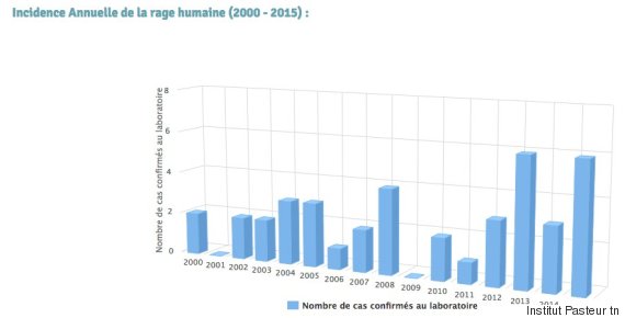 rage humain