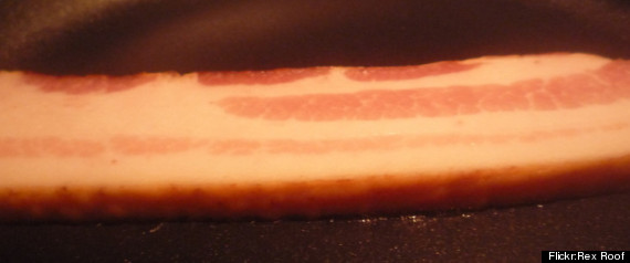 Bacon Nosebleed Cure