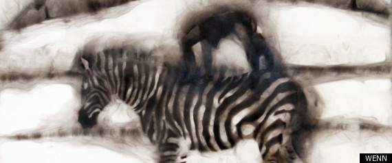 Ghostly Smoke Art