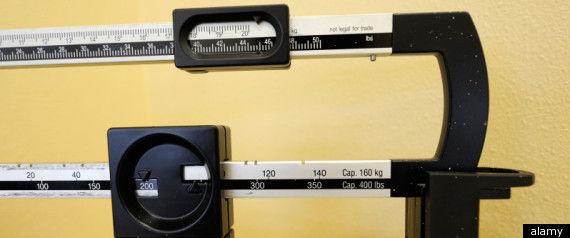 Doctor Weight Obesity