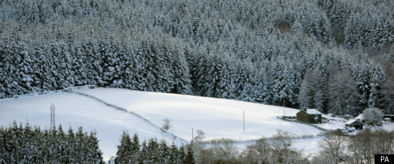 Snow Weather