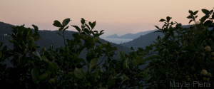 el salto