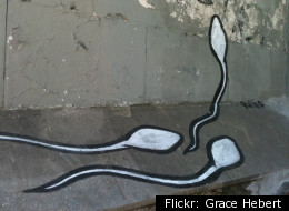 Yesterday I Was Just a Sperm Cell. Now I'm a Person!