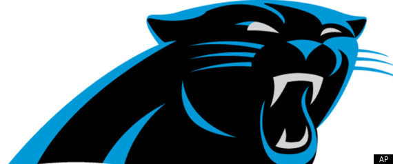 Michigan Panthers Logo