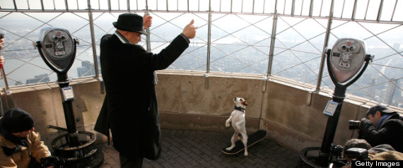 Uggie