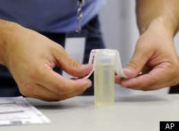 Welfare Drug Test