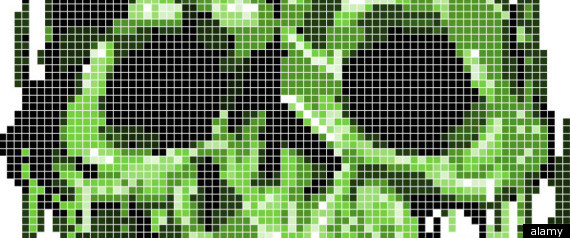Computer Virus