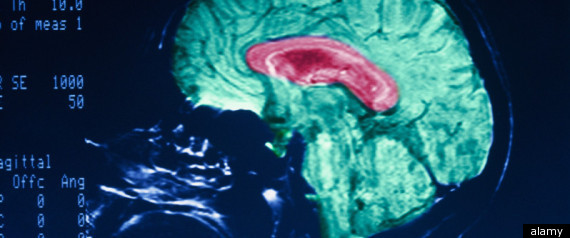Mind Reading Technology Telepathy