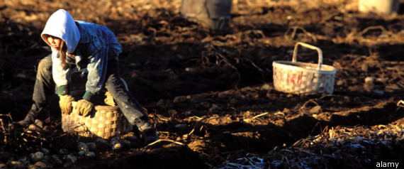 Child Labor