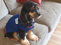 Super Bowl Entertaining Tips