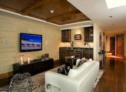 14 Absolutely Fantastic TV Rooms