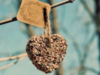 Craft Of The Day