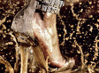 PHOTOS: Jimmy Choo's Luxurious New Coffee Table Book