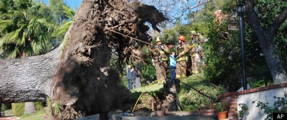 Southern California Edison Wind Storm