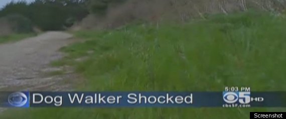 Jackie Speier Dog Walker
