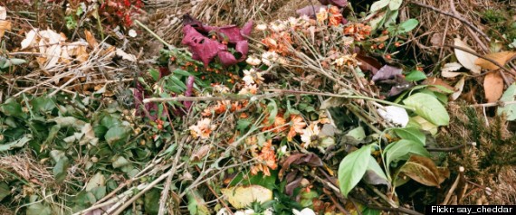 Compost