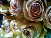 Flower Arrangements