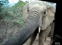 WATCH: Funniest Viral Videos Of The Day