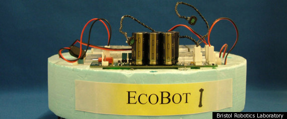 Ecobot