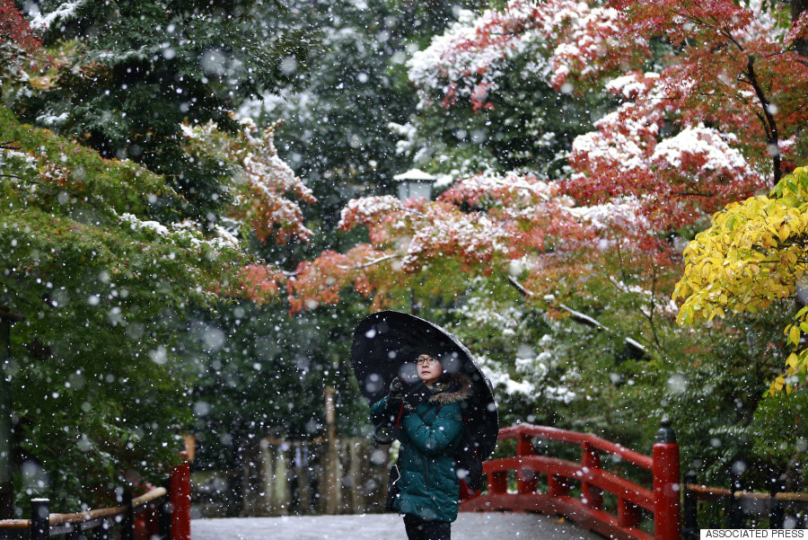 Tokyo Snow Marks 1st Time White Stuff Has Fallen In November Since 1962