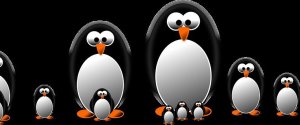 penguin