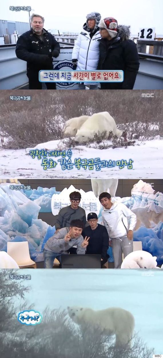 북극곰스튜디오 이미지