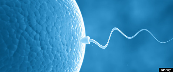 Baby Born Using Oldest Frozen Sperm