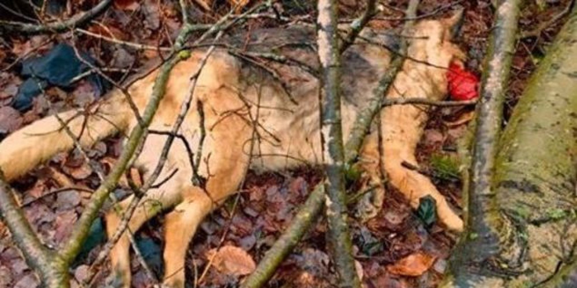 rencontre secrete quebec