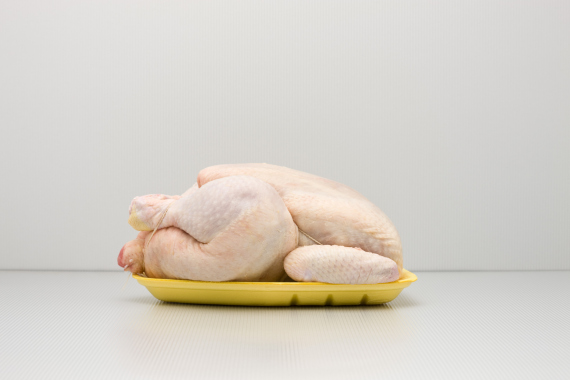chicken
