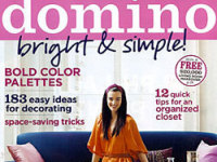 Domino Magazine