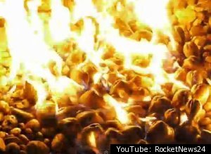 Gasoline Clams