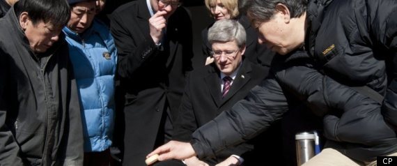 Harper Chine