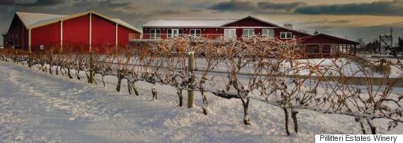 pillitteri estates winery