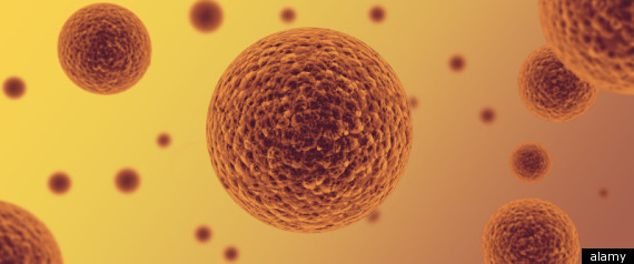 Superbug Spread