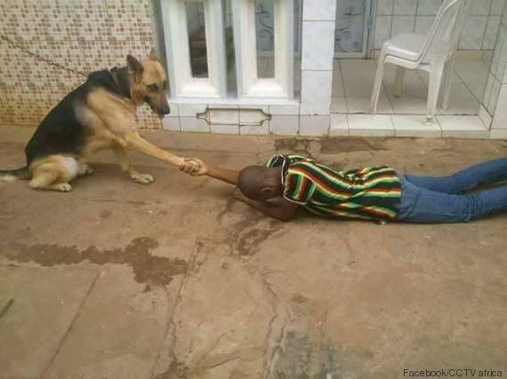 cameroun