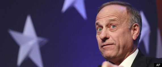 Steve King Lightbulbs