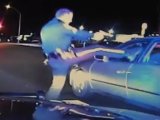 Police officer kicks driver in face